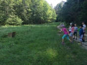 IMG_20190726_095736
