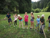 IMG_20190726_152414