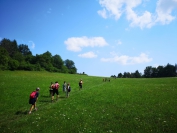 IMG_20190729_140139